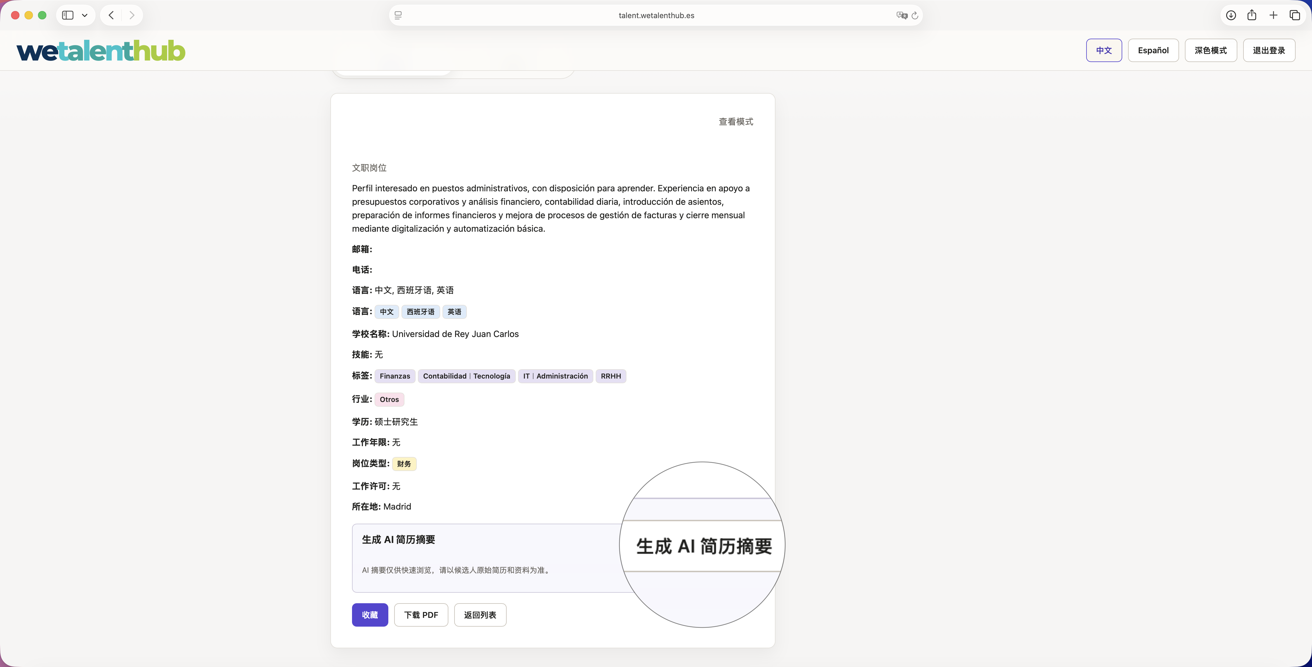 AI CV summary screenshot